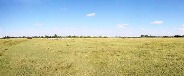 land Auctions in Amarillo