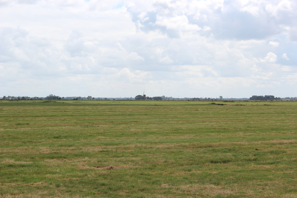 land Auctions in Lubbock