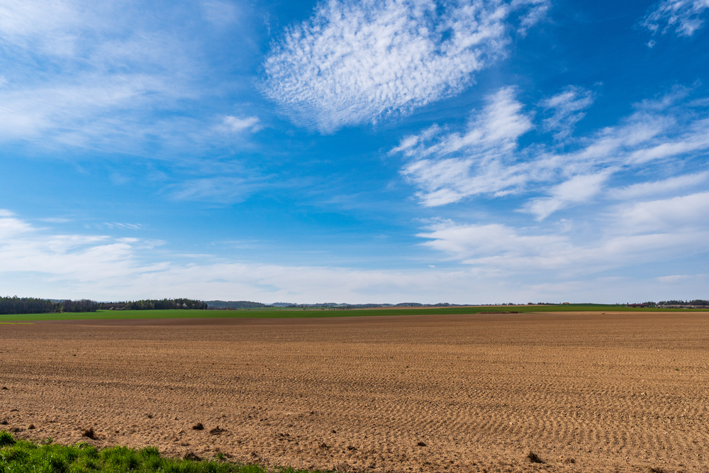 land Auctions in Brownsville