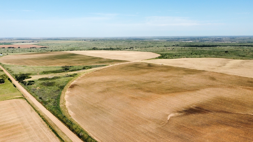 land Auctions in Corpus Christi