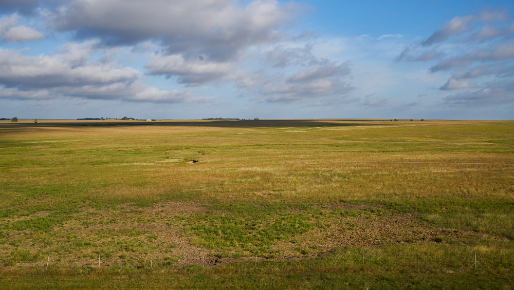 land Auctions in Arlington