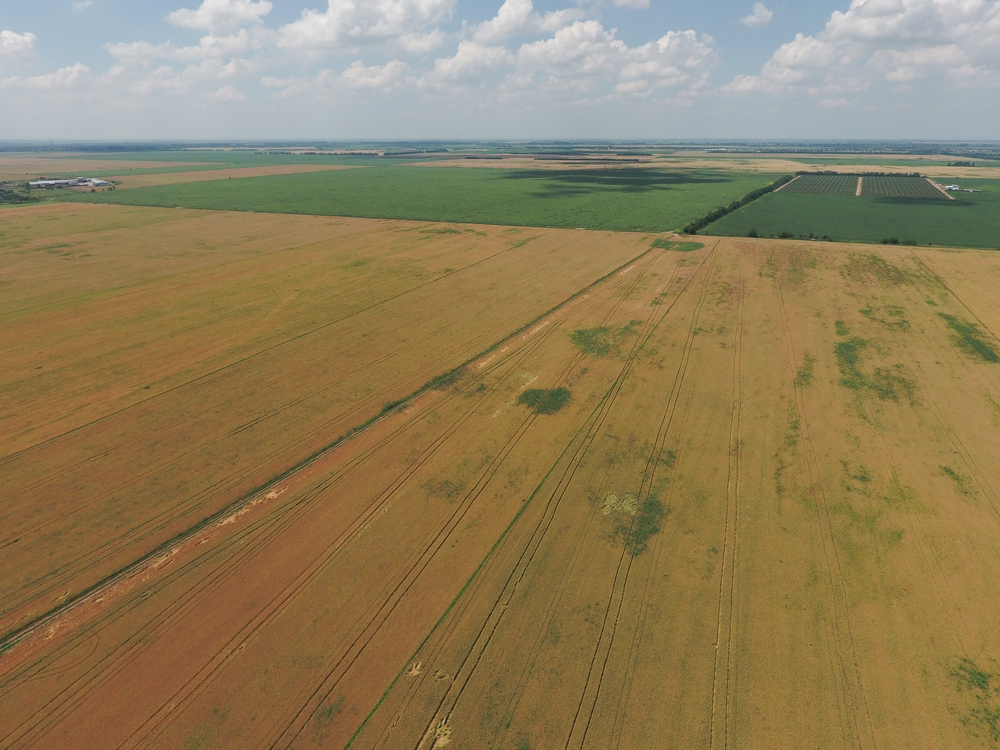 land Auctions in Plano