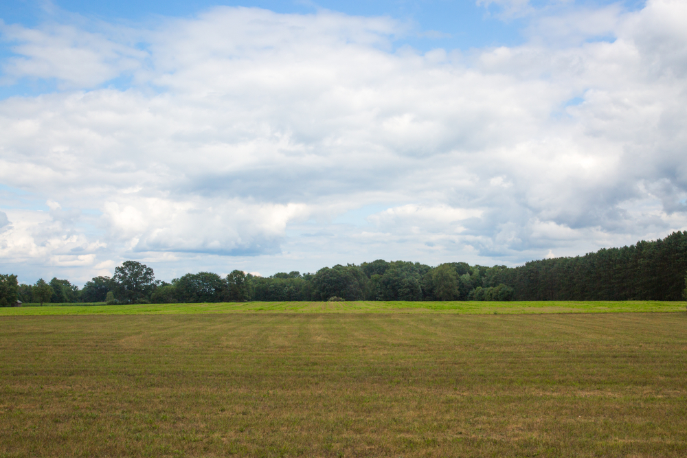 Land Property in Galveston
