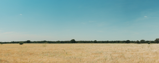 Land Property in Austin