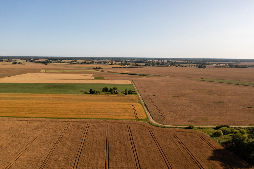 Land Property in Austin