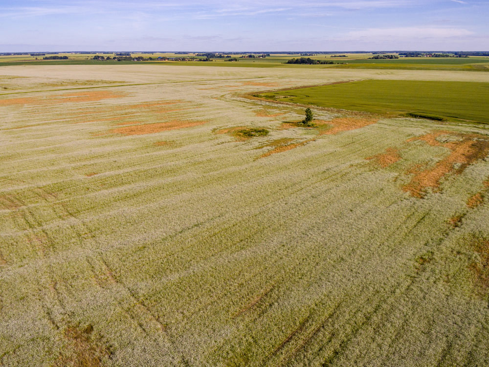 Land Property in Corpus Christi