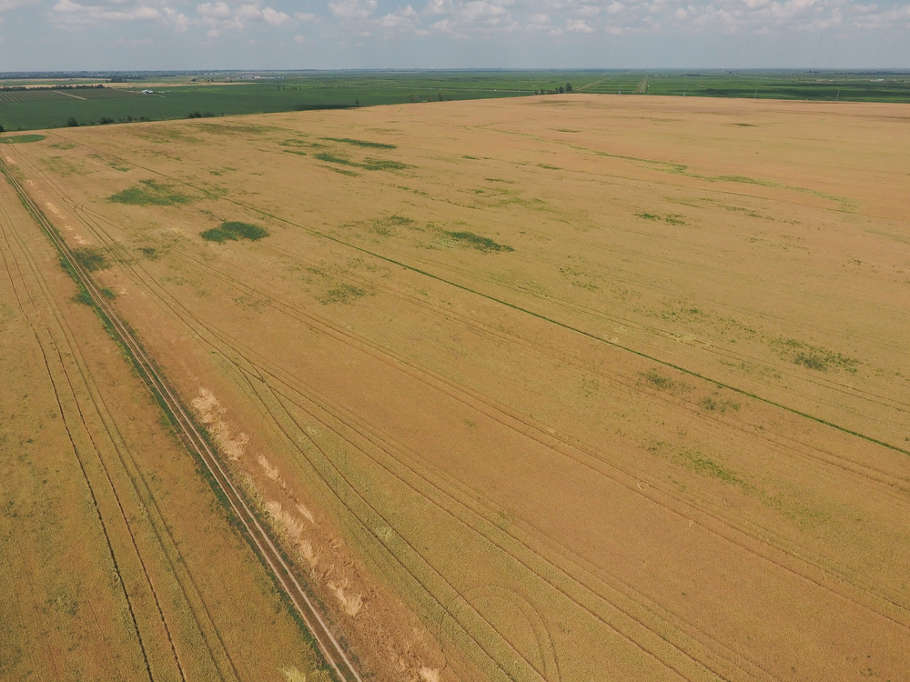 Land Property in Fort Worth