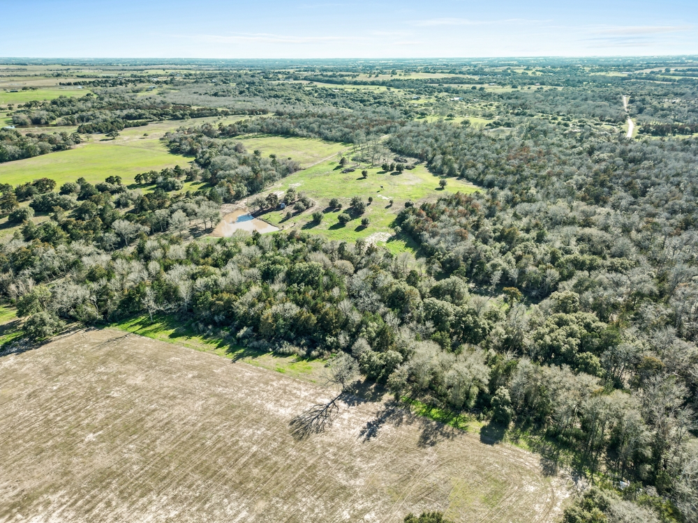 Land Property in Odessa