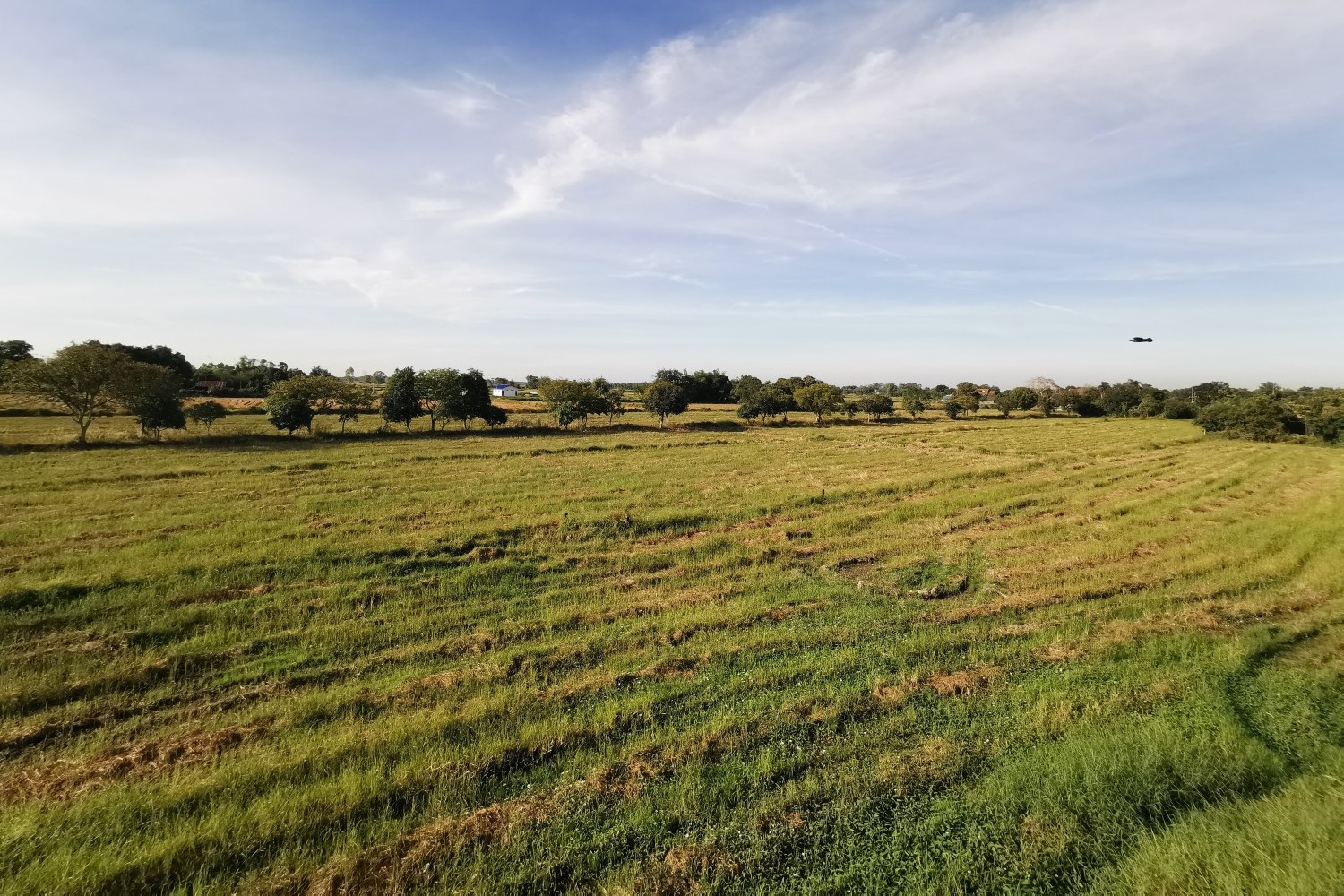 Land Property in Texas