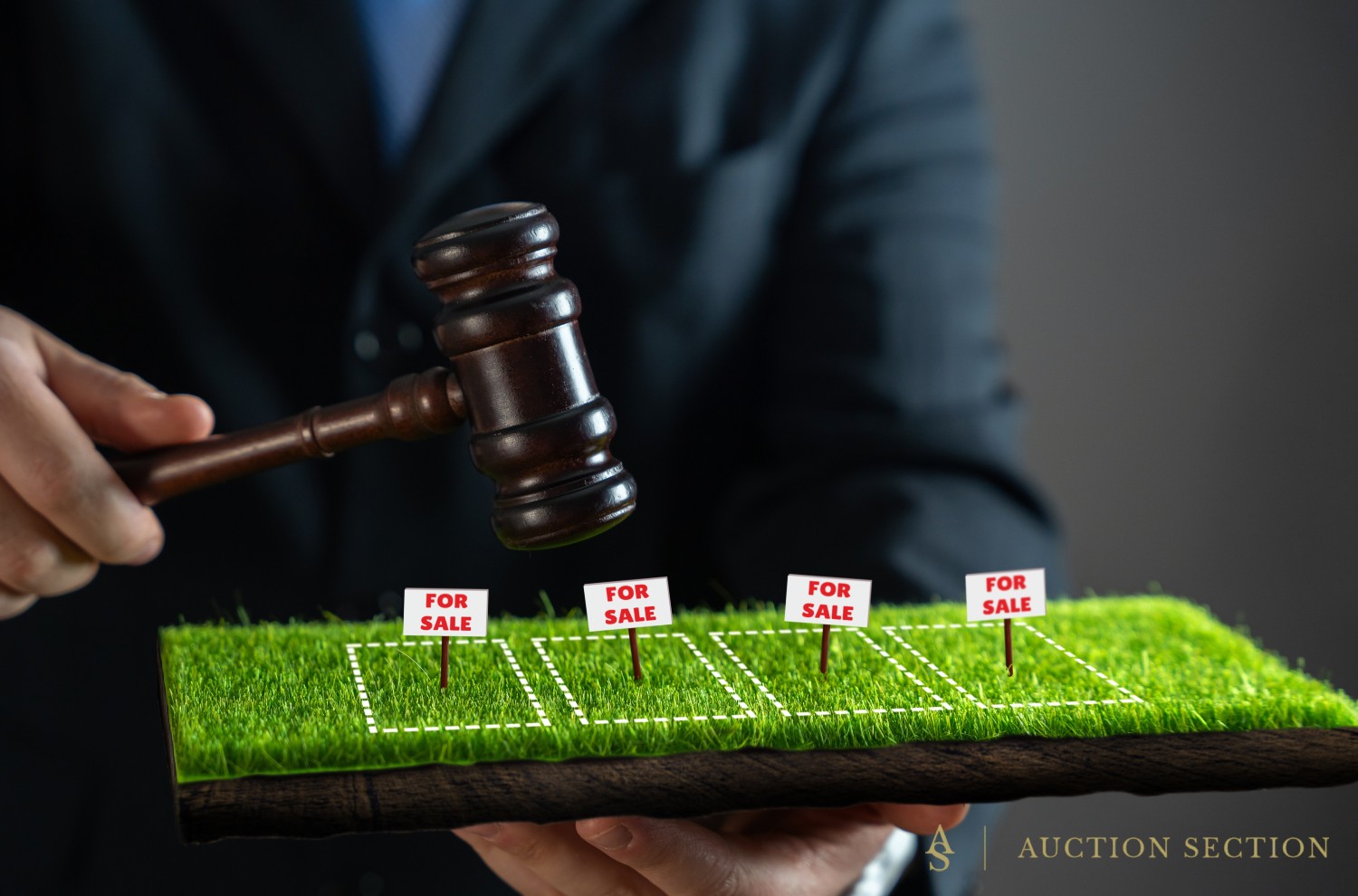 Absolute vs. Reserve Land Auctions