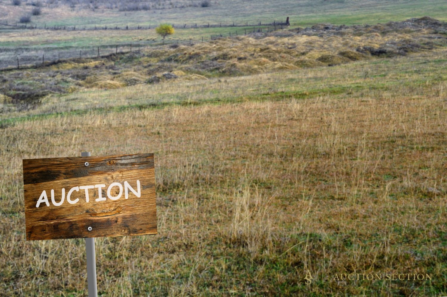 Auctions for Selling Raw or Vacant Land
