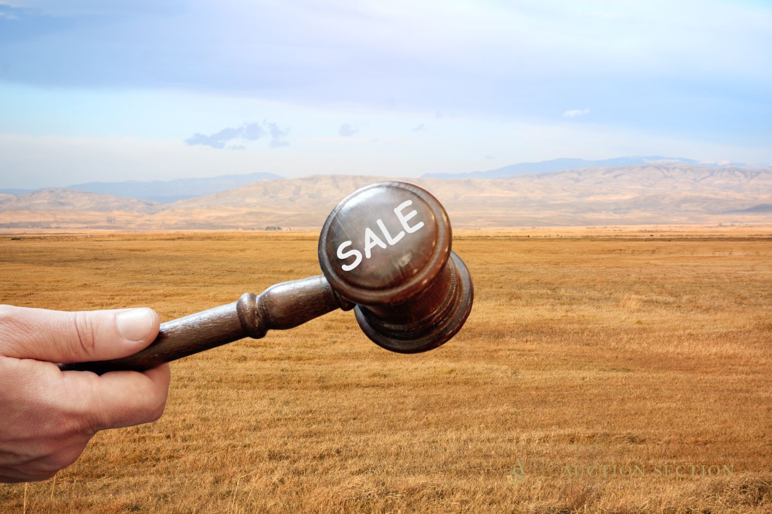 Land Auctions vs. Traditional Sales