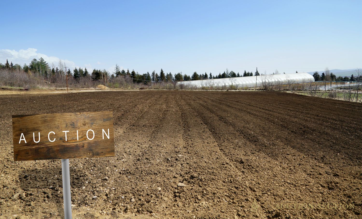 Land Auction